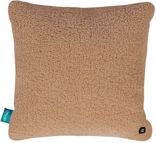 De 8 Beste Warmtekussens van 2026 Elektrische Warmtekussen van LifeShift